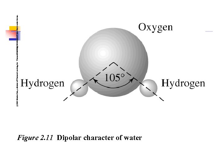 Figure 2. 11 Dipolar character of water (c)2001 Brooks/Cole, a division of Thomson Learning,