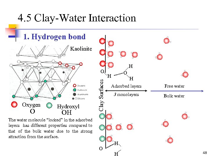 4. 5 Clay-Water Interaction 1. Hydrogen bond Kaolinite Oxygen O Hydroxyl OH Clay Surfaces