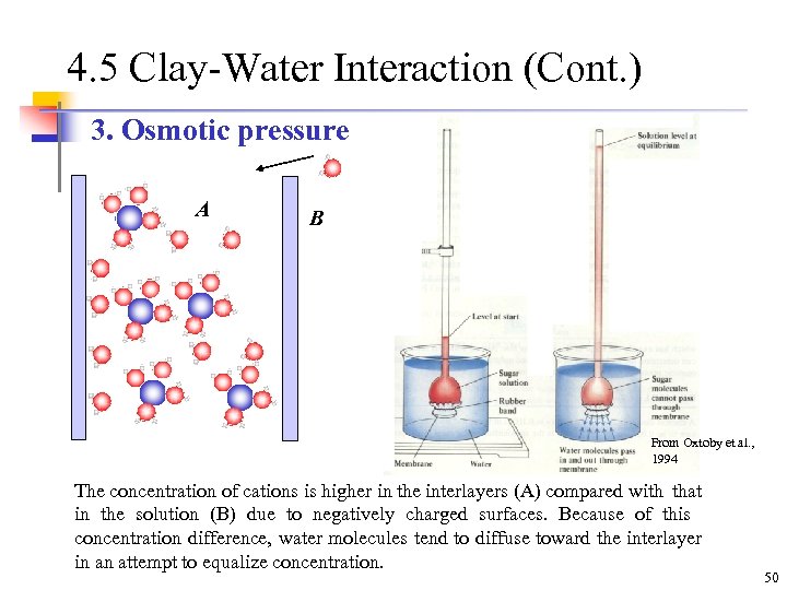 4. 5 Clay-Water Interaction (Cont. ) 3. Osmotic pressure A B From Oxtoby et