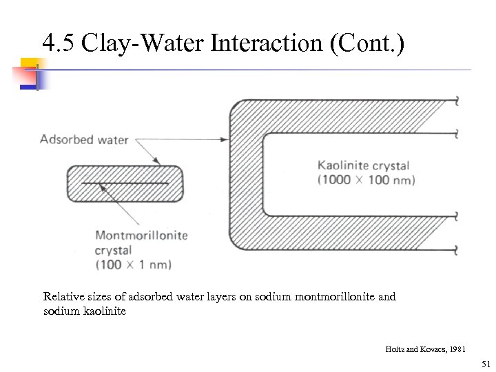 4. 5 Clay-Water Interaction (Cont. ) Relative sizes of adsorbed water layers on sodium