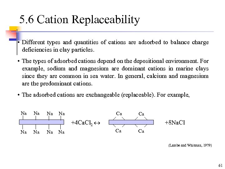 5. 6 Cation Replaceability • Different types and quantities of cations are adsorbed to