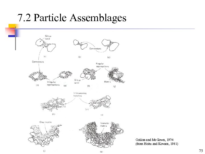 7. 2 Particle Assemblages Collins and Mc. Gown, 1974 (from Holtz and Kovacs, 1981)