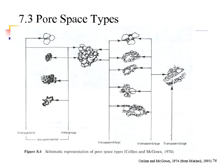 7. 3 Pore Space Types Collins and Mc. Gown, 1974 (from Mitchell, 1993) 76