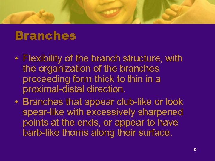 Branches • Flexibility of the branch structure, with the organization of the branches proceeding