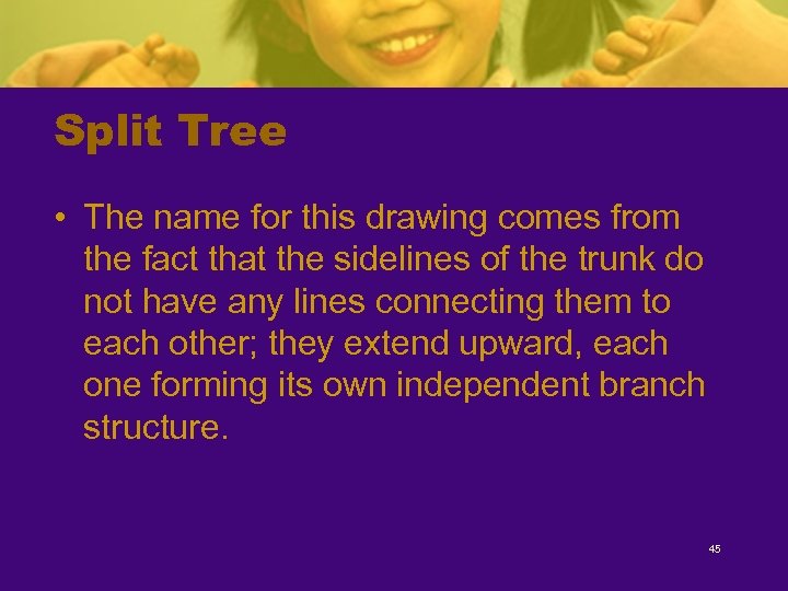 Split Tree • The name for this drawing comes from the fact that the