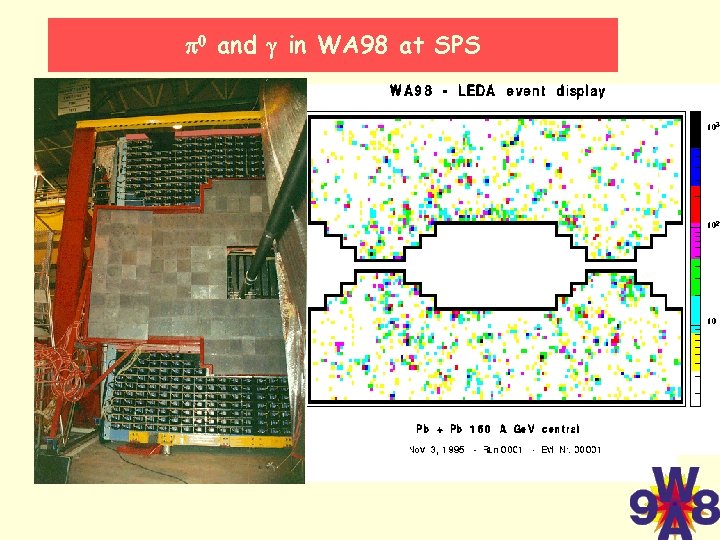 p 0 and g in WA 98 at SPS 