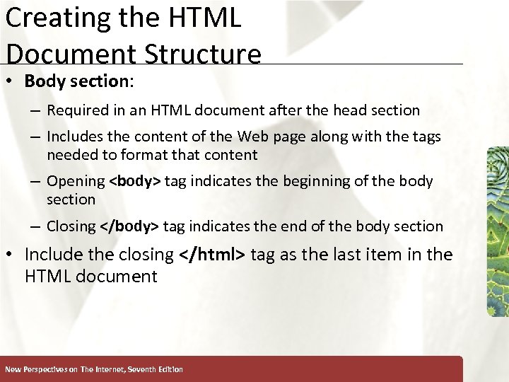 Creating the HTML Document Structure • Body section: – Required in an HTML document