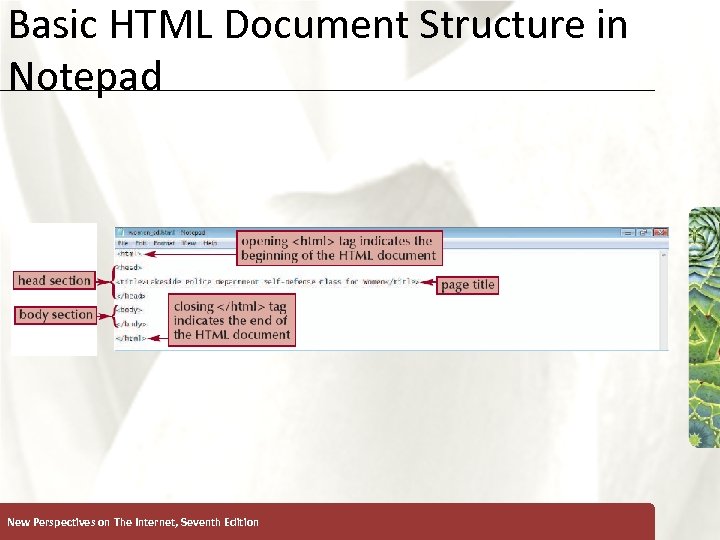 Basic HTML Document Structure in Notepad New Perspectives on The Internet, Seventh Edition XP