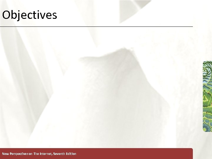 Objectives New Perspectives on The Internet, Seventh Edition XP 