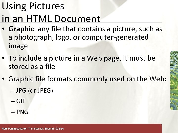 Using Pictures in an HTML Document XP • Graphic: any file that contains a