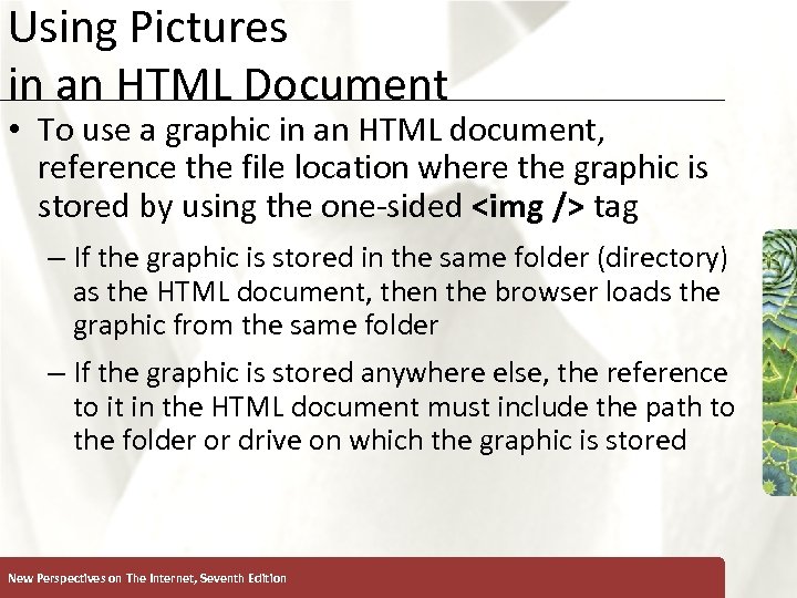 Using Pictures in an HTML Document XP • To use a graphic in an