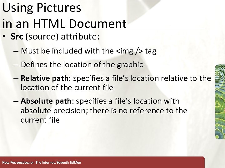 Using Pictures in an HTML Document XP • Src (source) attribute: – Must be