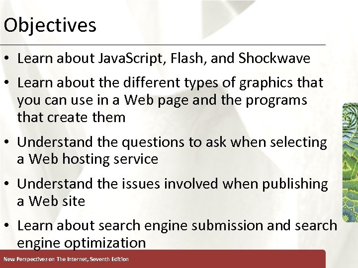 Objectives XP • Learn about Java. Script, Flash, and Shockwave • Learn about the