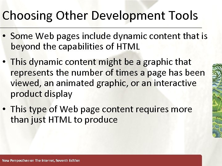 Choosing Other Development Tools XP • Some Web pages include dynamic content that is