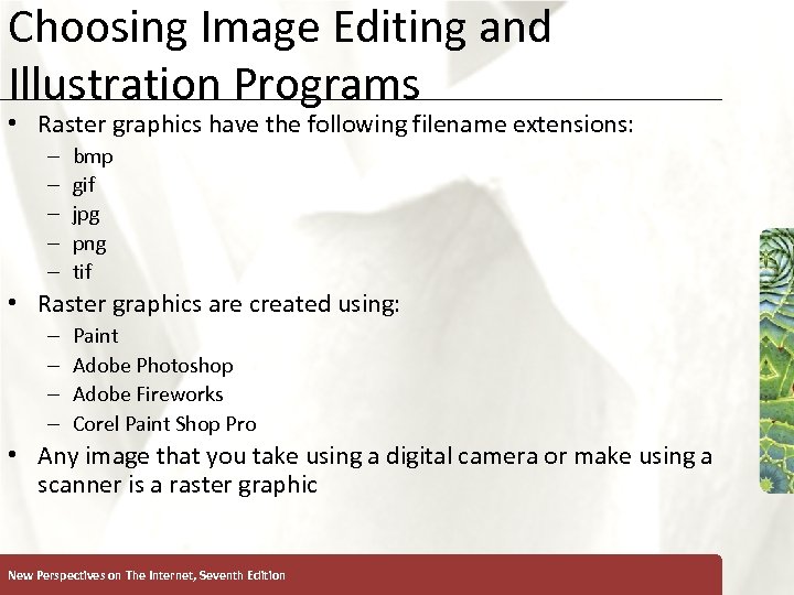 Choosing Image Editing and Illustration Programs • Raster graphics have the following filename extensions: