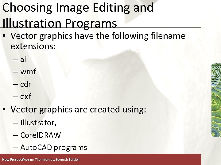 Choosing Image Editing and Illustration Programs • Vector graphics have the following filename extensions: