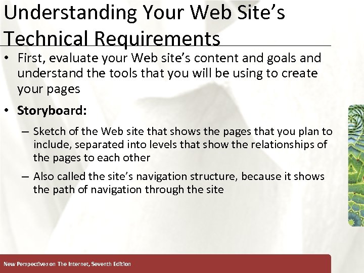 Understanding Your Web Site’s Technical Requirements XP • First, evaluate your Web site’s content