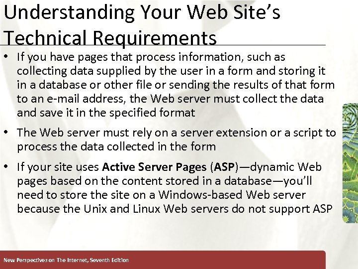 Understanding Your Web Site’s Technical Requirements XP • If you have pages that process