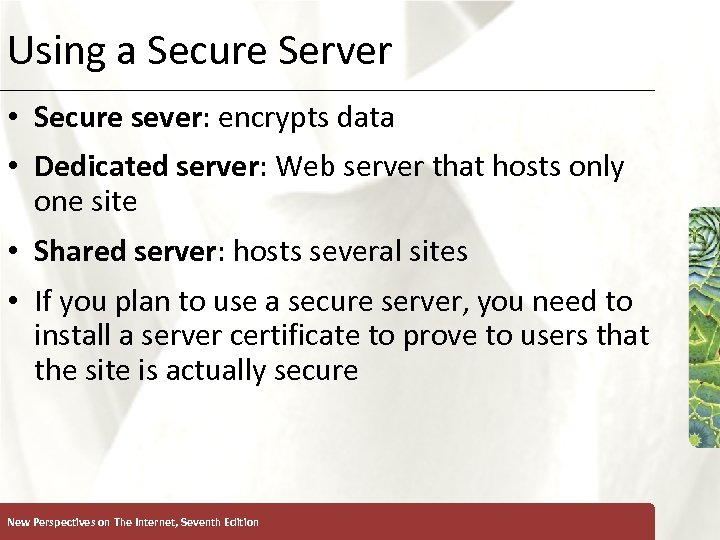 Using a Secure Server • Secure sever: encrypts data • Dedicated server: Web server