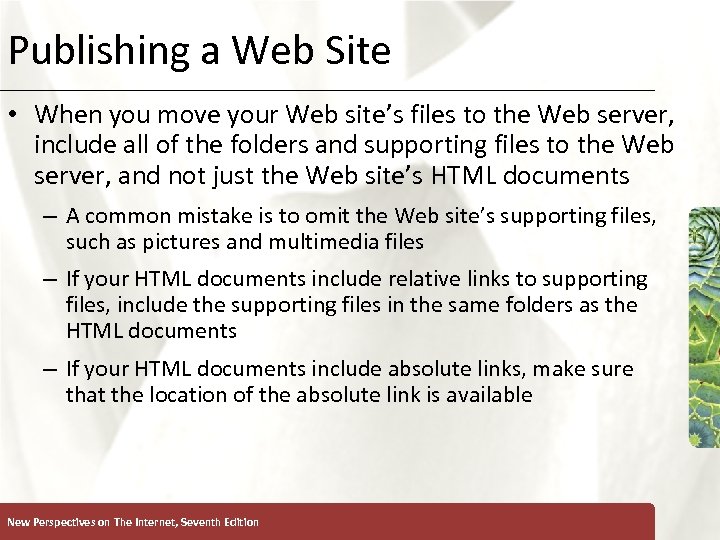 Publishing a Web Site XP • When you move your Web site’s files to