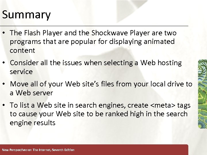 Summary XP • The Flash Player and the Shockwave Player are two programs that