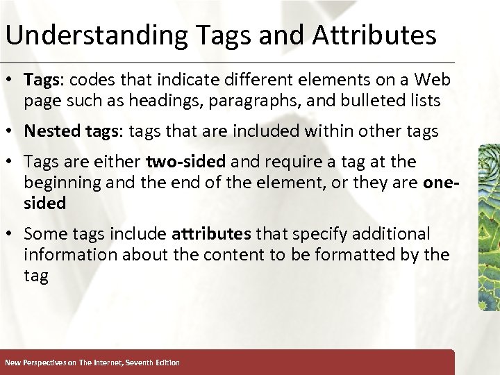 Understanding Tags and Attributes XP • Tags: codes that indicate different elements on a