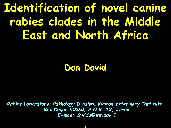 Identification of novel canine rabies clades in the Middle East and North Africa Dan