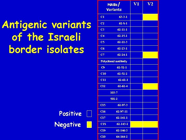 MABs/ Variants Antigenic variants of the Israeli border isolates C 1 63 -3 -1