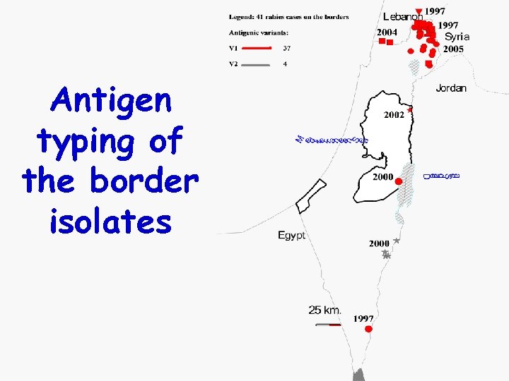 Antigen typing of the border isolates 