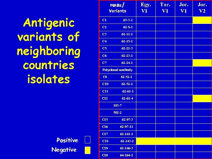 MABs/ Variants Antigenic variants of neighboring countries isolates C 1 63 -3 -1 C