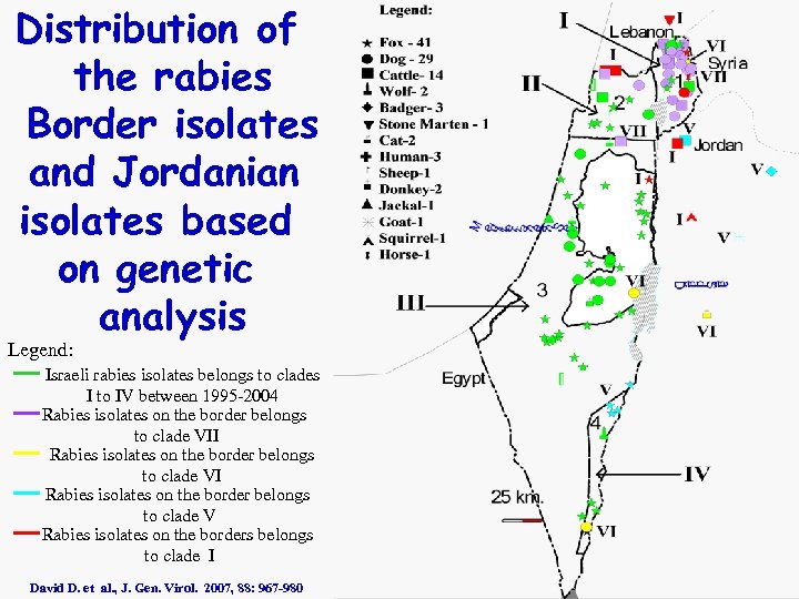 Distribution of the rabies Border isolates and Jordanian isolates based on genetic analysis Legend: