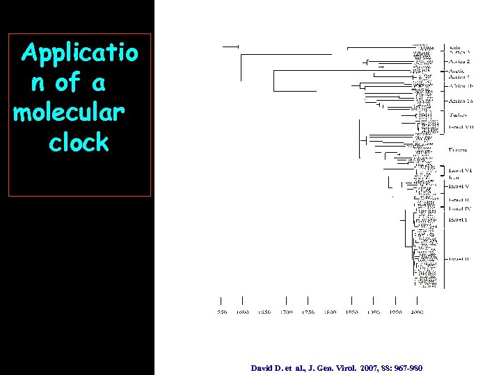 Applicatio n of a molecular clock David D. et al. , J. Gen. Virol.