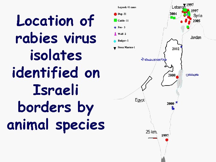 Location of rabies virus isolates identified on Israeli borders by animal species 