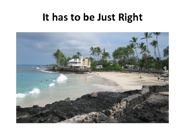 It has to be Just Right 