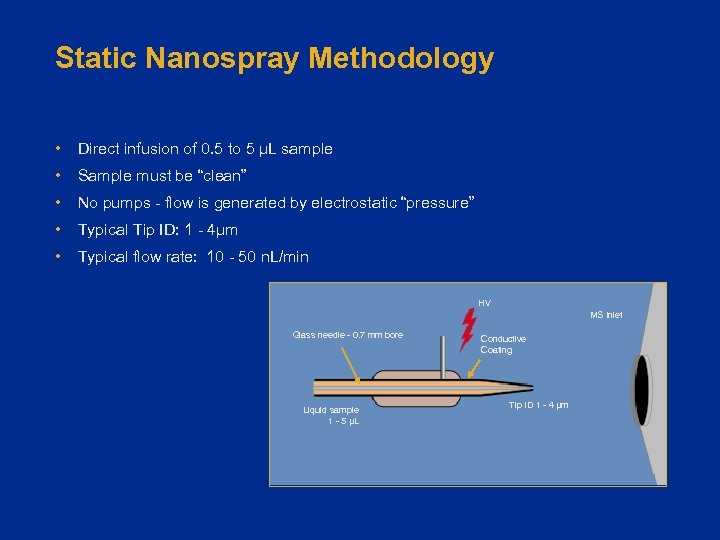 Static Nanospray Methodology • Direct infusion of 0. 5 to 5 µL sample •