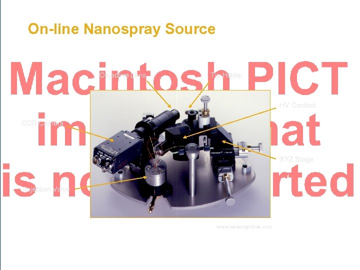 On-line Nanospray Source Objective Lens Tip Holder HV Contact CCD Camera XYZ Stage Injection