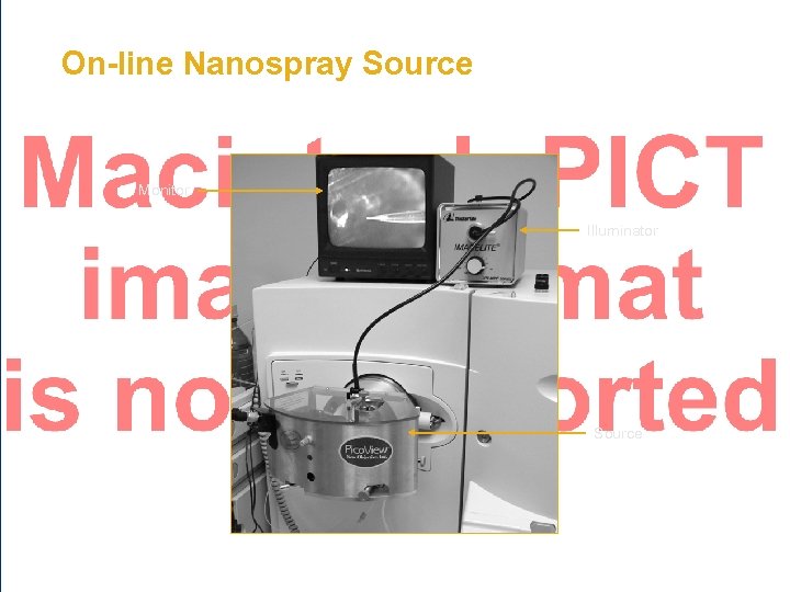 On-line Nanospray Source Monitor Illuminator Source 