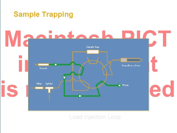 Sample Trapping Load Injection Loop 