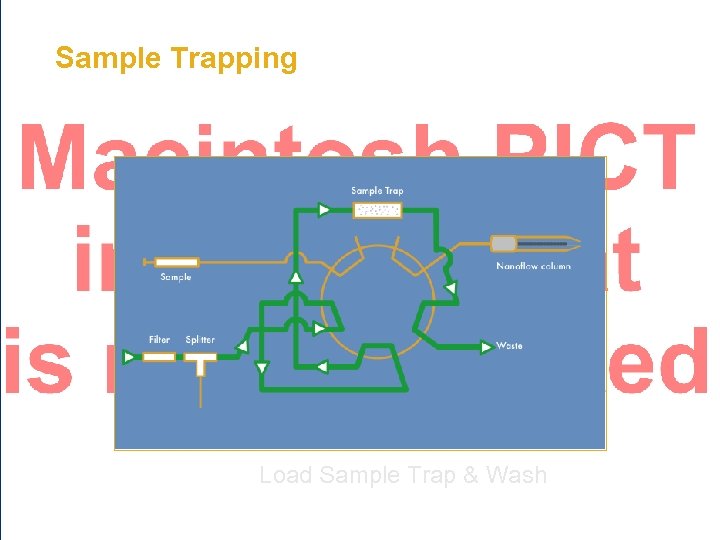 Sample Trapping Load Sample Trap & Wash 