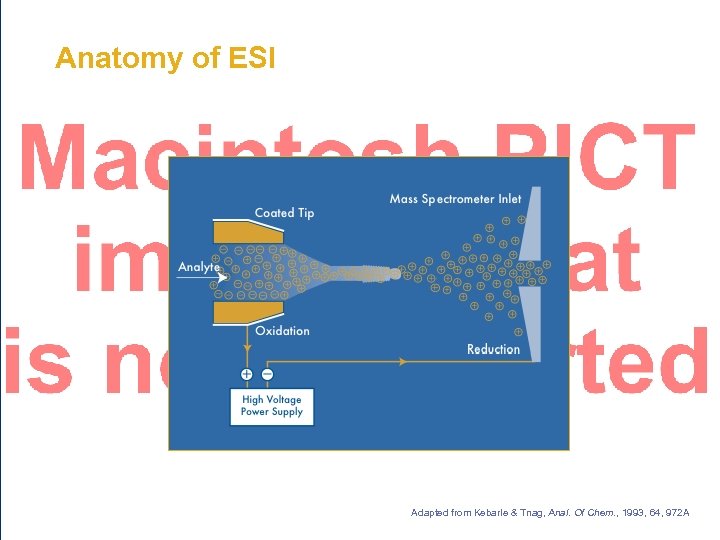 Anatomy of ESI Adapted from Kebarle & Tnag, Anal. Of Chem. , 1993, 64,