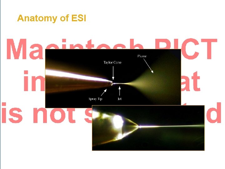 Anatomy of ESI 