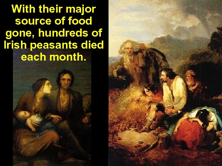 With their major source of food gone, hundreds of Irish peasants died each month.