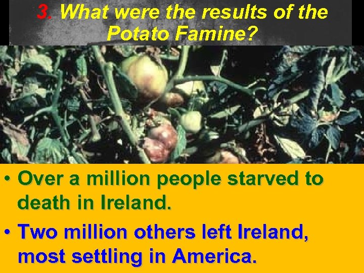 3. What were the results of the Potato Famine? • Over a million people