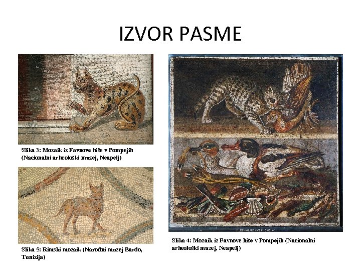 IZVOR PASME Slika 3: Mozaik iz Favnove hiše v Pompejih (Nacionalni arheološki muzej, Neapelj)
