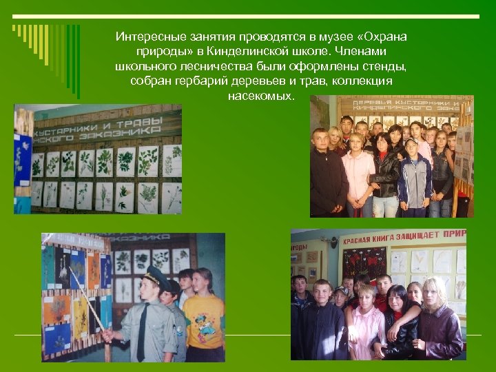 Интересные занятия проводятся в музее «Охрана природы» в Кинделинской школе. Членами школьного лесничества были