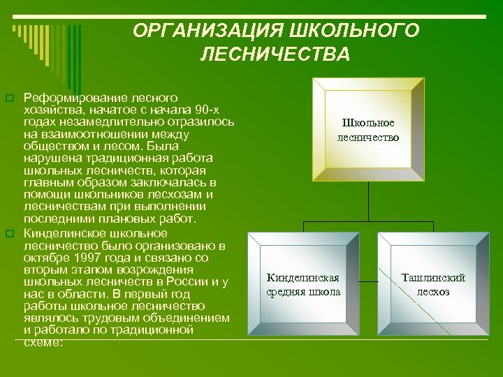 ОРГАНИЗАЦИЯ ШКОЛЬНОГО ЛЕСНИЧЕСТВА o Реформирование лесного хозяйства, начатое с начала 90 -х годах незамедлительно