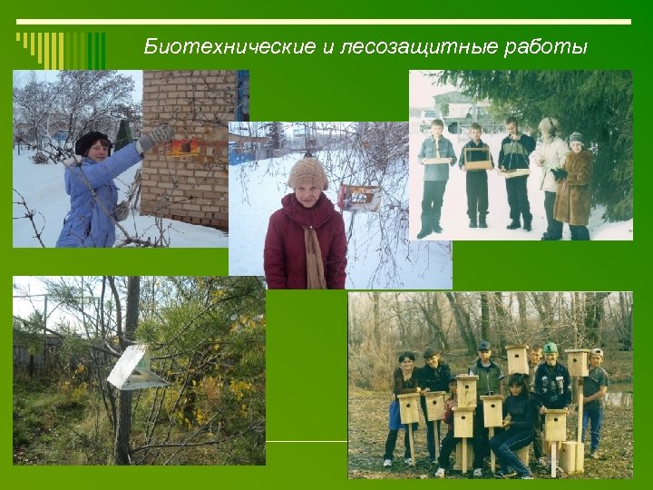 Биотехнические и лесозащитные работы 