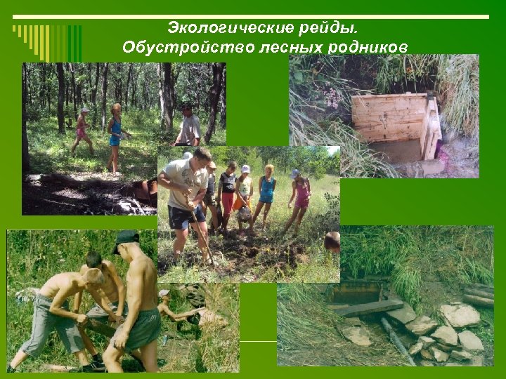 Экологические рейды. Обустройство лесных родников 