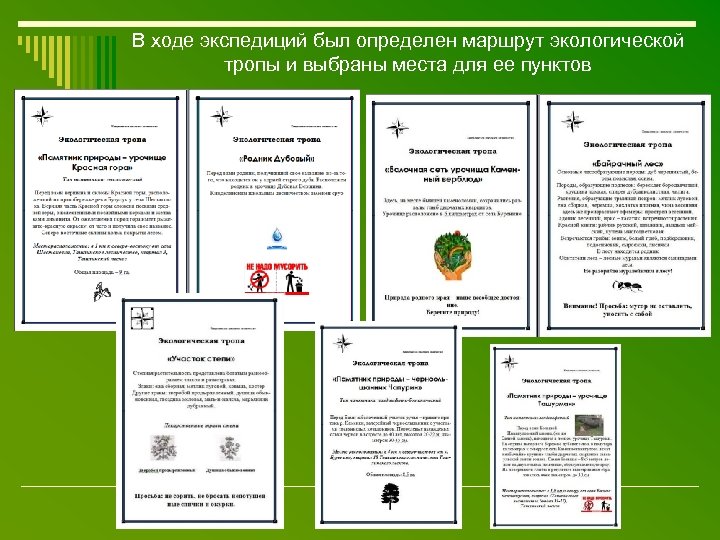 В ходе экспедиций был определен маршрут экологической тропы и выбраны места для ее пунктов