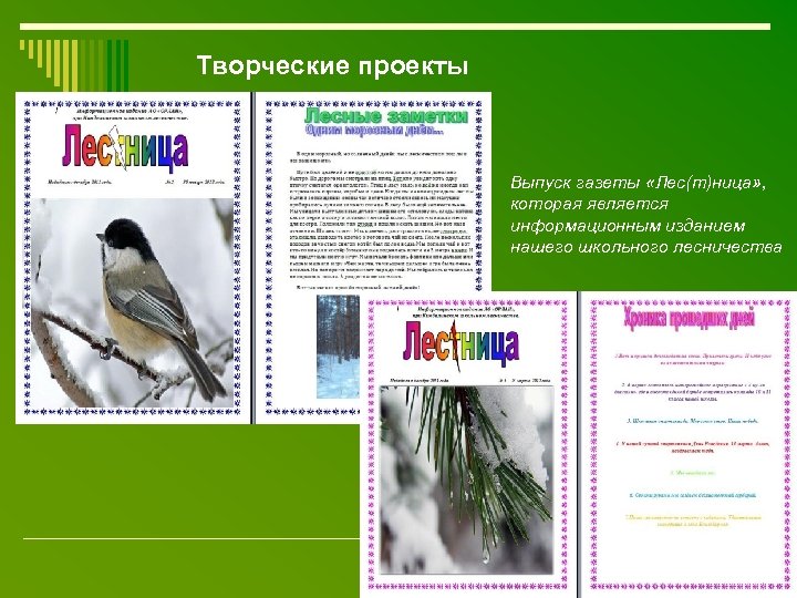 Творческие проекты Выпуск газеты «Лес(т)ница» , которая является информационным изданием нашего школьного лесничества 